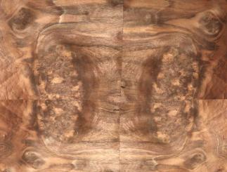 Nussbaum Wurzelholz Furnier Armatur X 42x32-34cm x 11 Blätter 