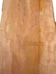 Apfelbaum Epoxid Holz gestockt 145x38-42cm x 30-32mm 