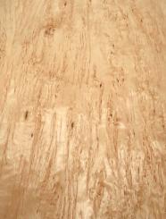 Birke Maser Holzfurnier Maserbirke D 89x48-49cm 2 Blätter 