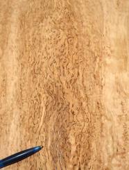 Birke Maser Holzfurnier Maserbirke 150x34-36cm 1 Blatt 