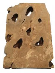 Oliven Wurzelholz Baumscheibe wild 42x26-29cm x 50-52mm 