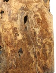 Oliven Wurzelholz Maserholz ++++ 51x40cm x 35-37mm 
