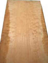 1x Muschel Ahorn quilted maple Tonholz 77x33-34cm x 48-50mm 