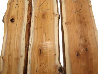 1x Eibe Maser Holz Eibenholz wild Burl 100x16-19cm x 26mm  #1 