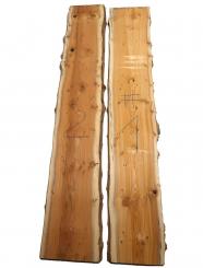 1x Eibe Maser Holz Eibenholz wild Burl 109x18-20cm x 26mm  #1 