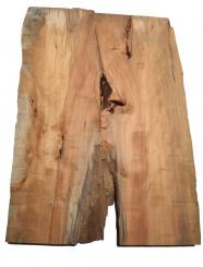 1x Apfelbaum Holz f Epoxid wormy 68x47-50cm x 45-47mm 