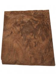 Nussbaum Wurzelholz Furnier Maser 35x31-35cm 19 Blätter 