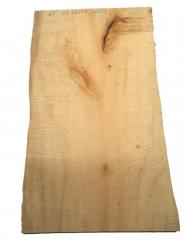 1x Ahorn Riegel Holz Riegelahorn curly 65x36-38cm x 26mm 