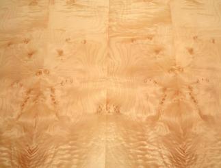 Muschel Maser Furnier Ahorn Quilted Maple 96x23-25cm 2 Blätter 