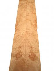 Muschel Maser Furnier Ahorn Quilted Maple 153x18-20cm 2 Blätter 