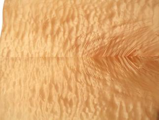 Muschel Maser Furnier Ahorn Quilted Maple 41x27-28cm 7 Blätter 
