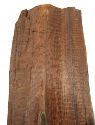 Schlangenholz Snakewood 35x13-14cm x 65-80mm #S2 