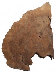 1x Nussbaum Wurzelholz Maser Baumscheibe 64x43cm x 50mm 