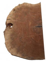 1x Nussbaum Wurzelholz Maser Baumscheibe 68x44cm x 50mm 