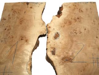 1x Pappel Maser Mapa Baumscheibe 91x27-47cm x 64-66mm #2 