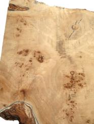 1x Pappel Maser Mapa Baumscheibe 88x68cm x 63-65mm 
