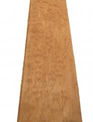 1x Muschel Ahorn Quilted Maple Tonholz 75x15,5cm x 49-50mm 