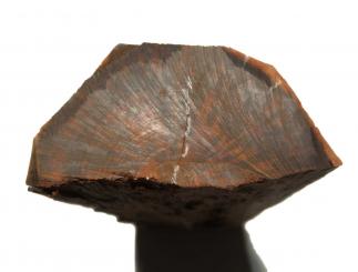 Schlangenholz Snakewood 34x13-14cm x 65-80mm #S3 