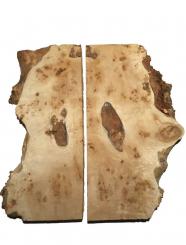 1x Pappel Maser Mapa Baumscheibe 92x31-42cm x 64-66mm #1 