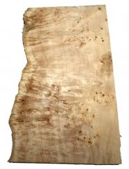 Pappel Maser Mapa Baumscheibe 98x53-60cm x 58-61mm 
