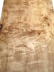 Pappel Maser Mapa Baumscheibe 109x44-49cm x 58-62mm 