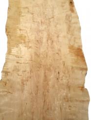 Birke Maser Holz Maserbirke Tonholz 65x16-21cm x 40-46mm 