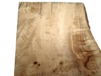 1x Pappel Maser Mapa Baumscheibe 88x46-54cm x 58-61mm 