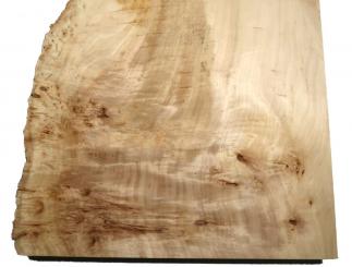 1x Pappel Maser Mapa Baumscheibe 89x40-50cm x 60-61mm 