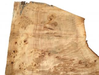 1x Pappel Maser Mapa Baumscheibe 94x56-70cm x 58-61mm 