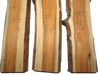 1x Eibe Holz Eibenholz rustikal 95x23-29cm x 47-48mm #95 