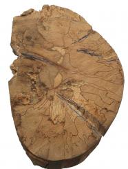 1x Gestockte Buche Holz Buchenholz 51x35cm x 35-50mm 