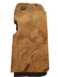1x Oliven Wurzelholz Olivenbaum Maser Holz 33x14cm x 70-80mm 