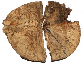 2x Gestockte Buche Holz Buchenholz 29x11-18cm x 36-38mm #S2 