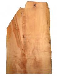 1x Birnbaumholz Birnenholz 101x34-59cm x 50-51mm 