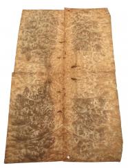Golden Madrona Wurzelholz Furnierholz A 37x23-25cm 4 Blätter 
