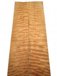 Muschel Ahorn Furnier Quilted Maple 64x13-15,5cm 7 3/4 Blätter 