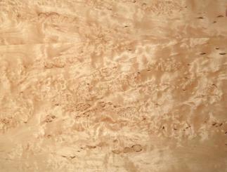 Birke Maser Holzfurnier Maserbirke 84x22-24cm 2 Blätter 