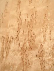 Birke Maser Holzfurnier Maserbirke 78x19-20cm 3 Blätter 