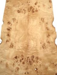 Pappel Maser Furnierholz Maserpappel 53x22-24cm 6 Blätter 