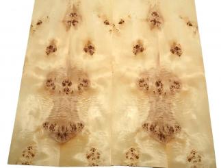 Pappel Maser Furnierholz Maserpappel 69x17-19cm 5 Blätter 