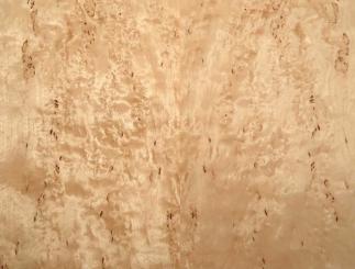 Birke Maser Holzfurnier Maserbirke 83x23-24cm 2 Blätter 