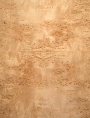 Birke Maser Holzfurnier Maserbirke 31x24-26cm 8 Blätter 