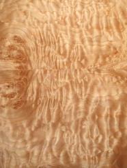 Muschel Ahorn Furnier Quilted Maple 75x26-30cm 2 Blätter 