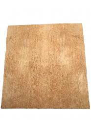 Birke Maser Holzfurnier Maserbirke 80x38-40cm 2 Blätter 