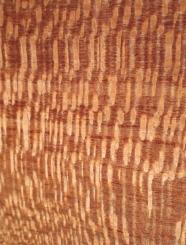 Perlholz Holzfurnier Furnierholz 80x24-26cm 4 Blätter 