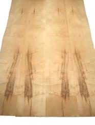 Ahorn Furnier Kern dekorativ 160x28-30cm 2 Blätter 