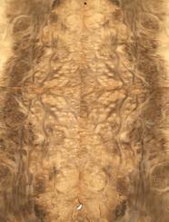 Myrte Wurzelholz Furnier Myrthe Intarsie 41x15-19cm 4 Blätter 