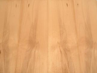 Buche Furnier Holz Buchenfurnier Kern 83x18,5cm 8 Blätter 