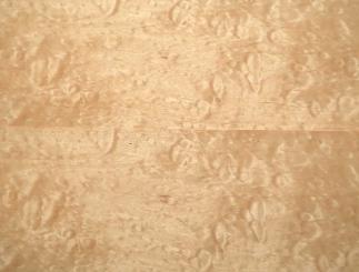 Muschel Ahorn Furnier Quilted Maple 192x15cm 1 Blatt 