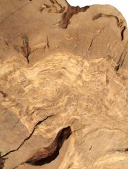 2x Oliven Wurzelholz Olivenbaum Maser Holz 79x9-43cm x 20-27mm #R1 